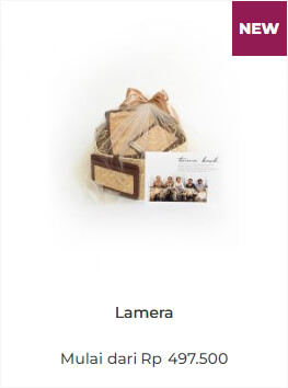 img-product-dedicated-lamera